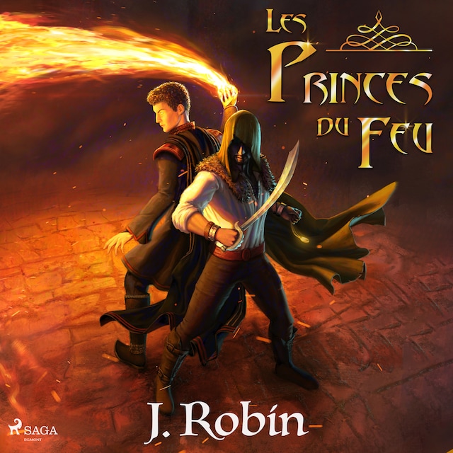 Book cover for Les Princes du Feu