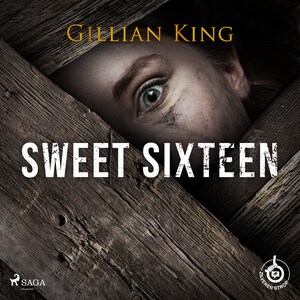 Sweet sixteen - luisterboek