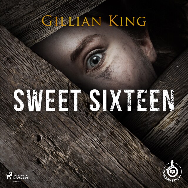 Book cover for Sweet sixteen