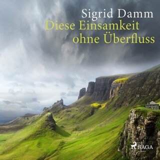 Diese Einsamkeit ohne Überfluss als Hörbuch
