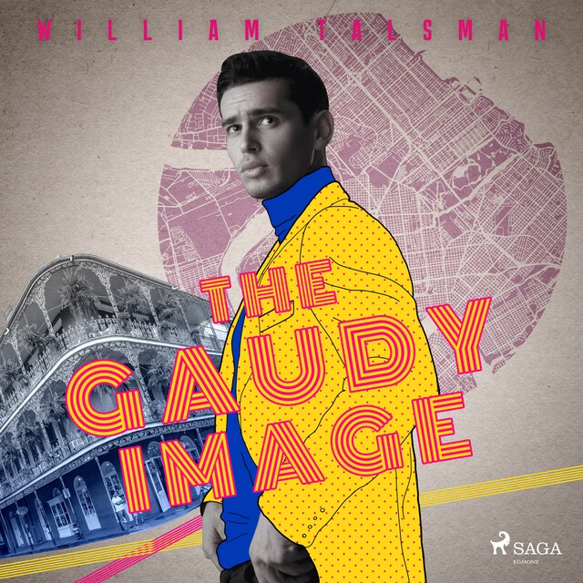 Book cover for The Gaudy Image