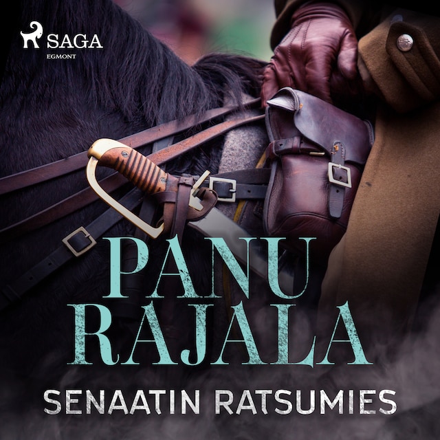 Book cover for Senaatin ratsumies