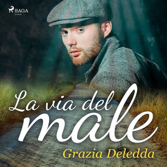 Book cover for La via del male