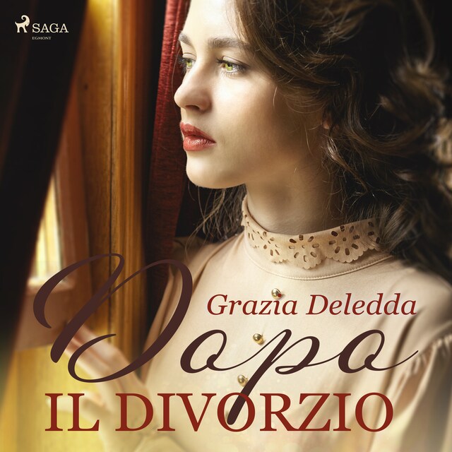 Book cover for Dopo il divorzio