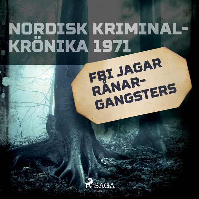 Book cover for FBI jagar rånargangsters