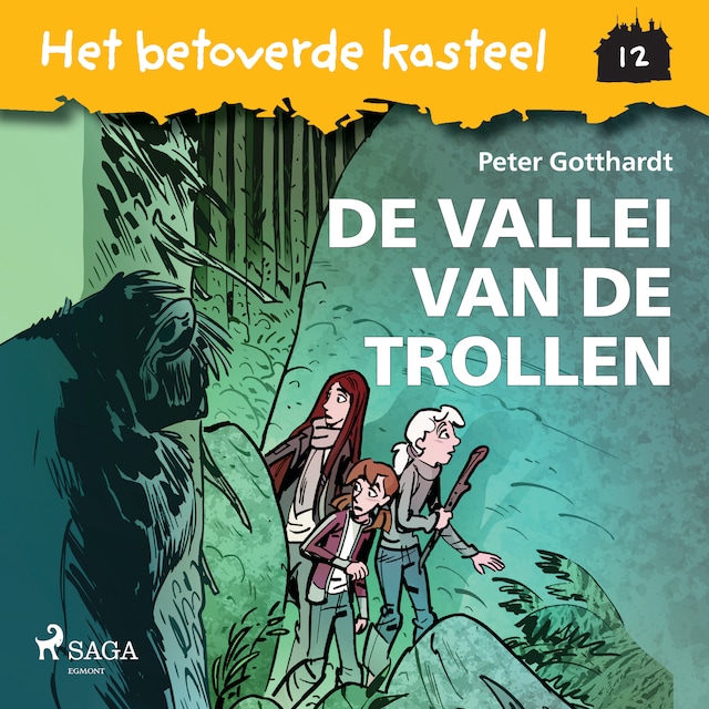 Couverture de livre pour Het betoverde kasteel 12 - De Vallei van de Trollen