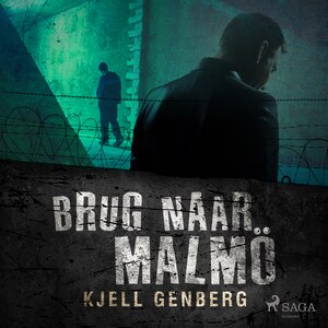 Brug naar Malmö - luisterboek