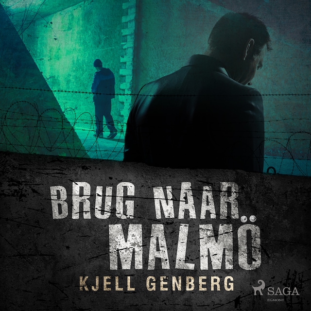 Book cover for Brug naar Malmö