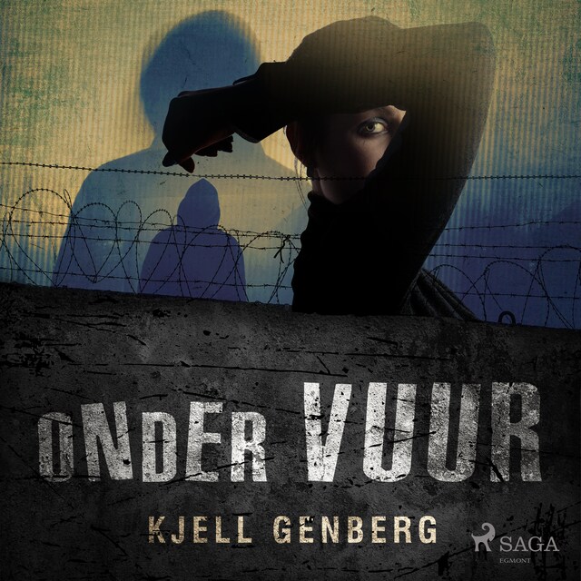 Book cover for Onder vuur