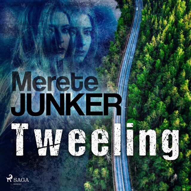 Copertina del libro per Tweeling