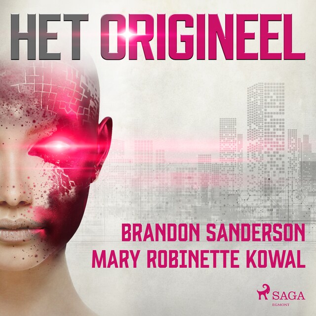 Book cover for Het origineel