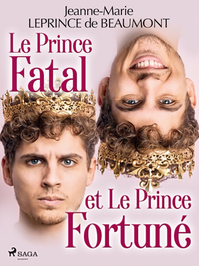 Book cover for Le Prince Fatal et le Prince Fortuné