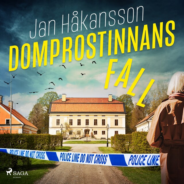 Book cover for Domprostinnans fall