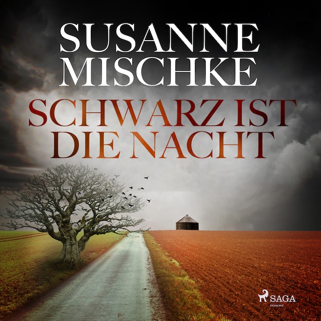 Couverture de livre pour Schwarz ist die Nacht