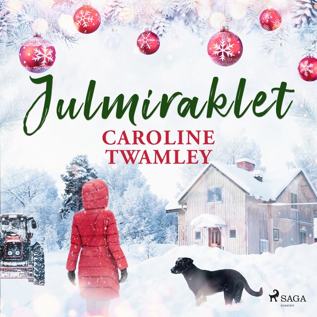 Book cover for Julmiraklet