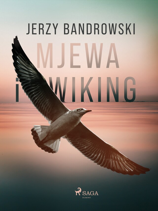 Buchcover für Mjewa i Wiking