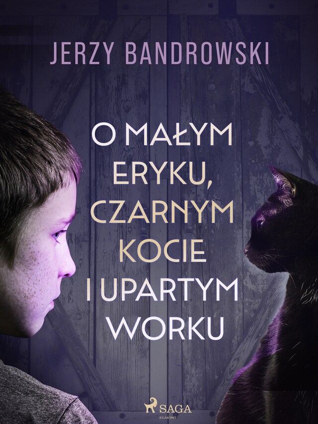 Copertina del libro per O małym Eryku, czarnym kocie i upartym worku