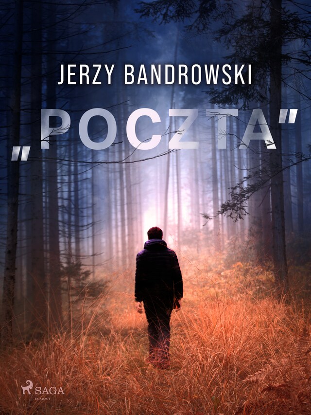 Buchcover für „Poczta"