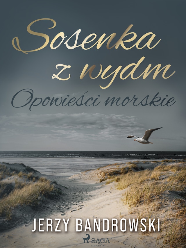 Buchcover für Sosenka z wydm. Opowieści morskie