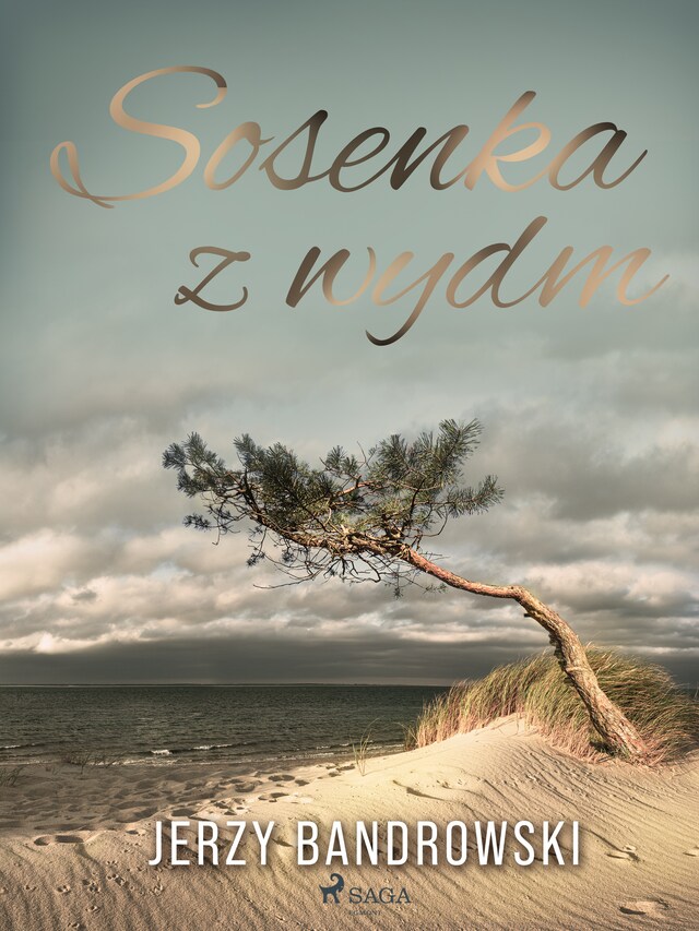 Book cover for Sosenka z wydm