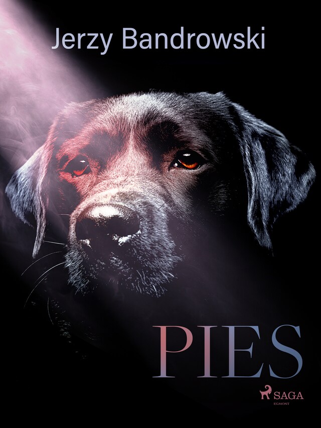 Buchcover für Pies