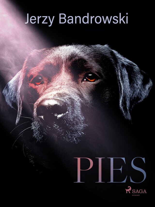 Couverture de livre pour Pies