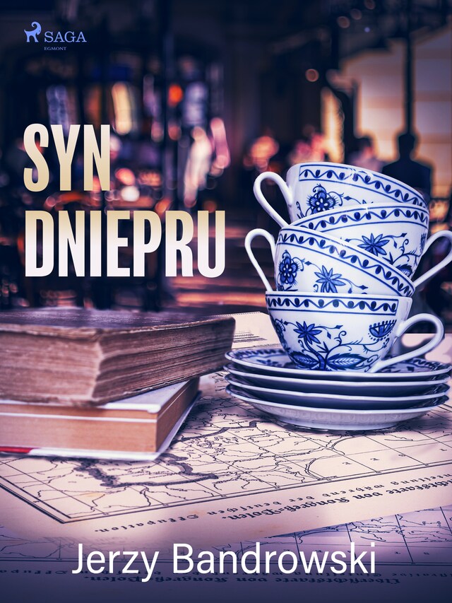 Book cover for Syn Dniepru