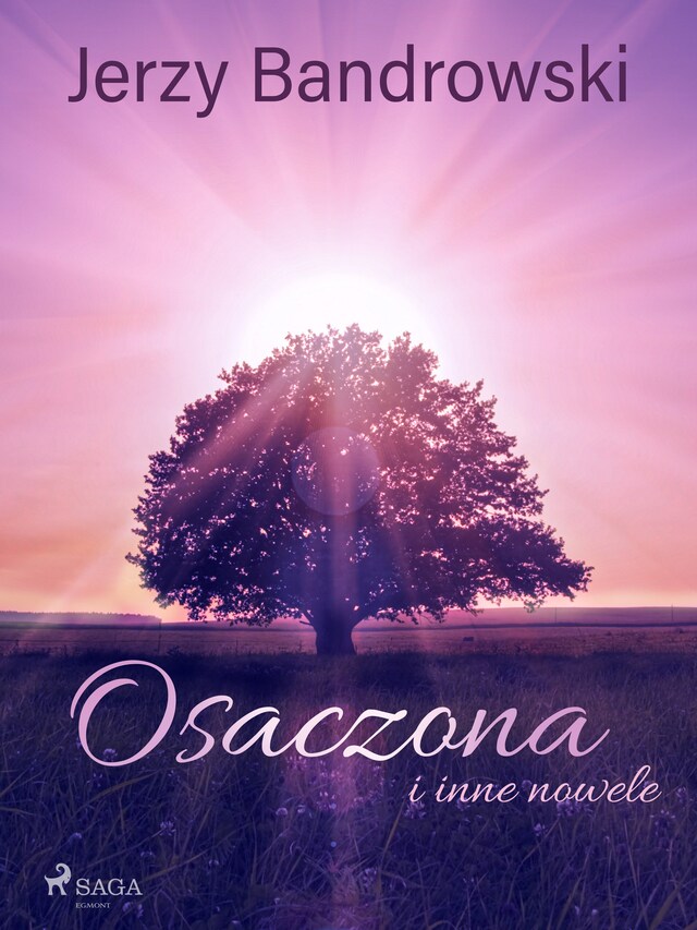 Book cover for Osaczona i inne nowele