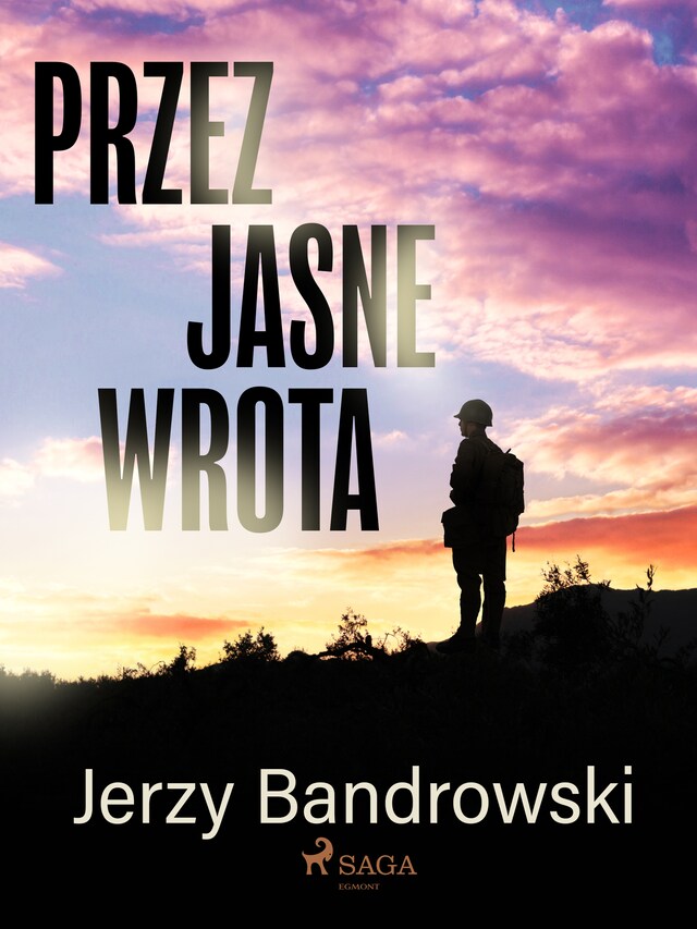 Book cover for Przez jasne wrota