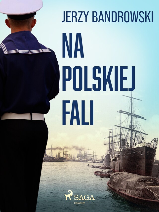 Buchcover für Na polskiej fali