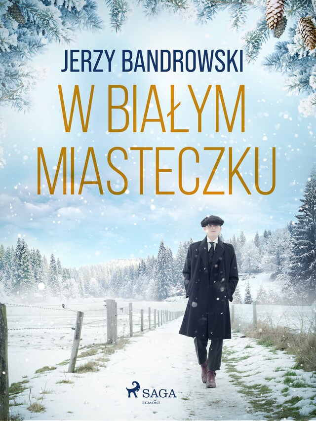 Buchcover für W białym miasteczku