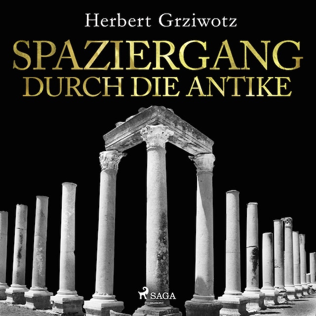 Book cover for Spaziergang durch die Antike