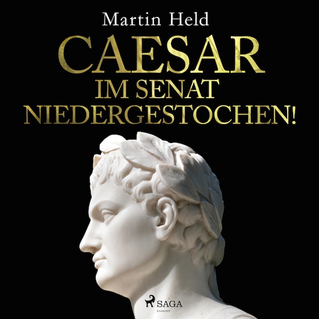 Book cover for Caesar im Senat niedergestochen!