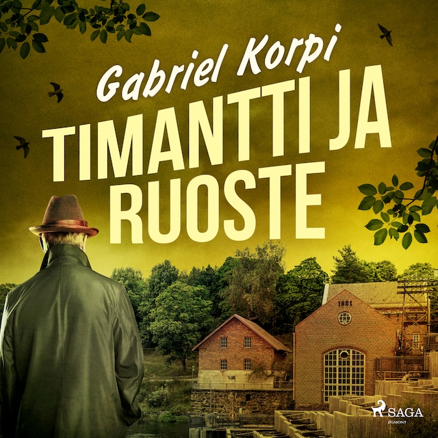 Book cover for Timantti ja ruoste