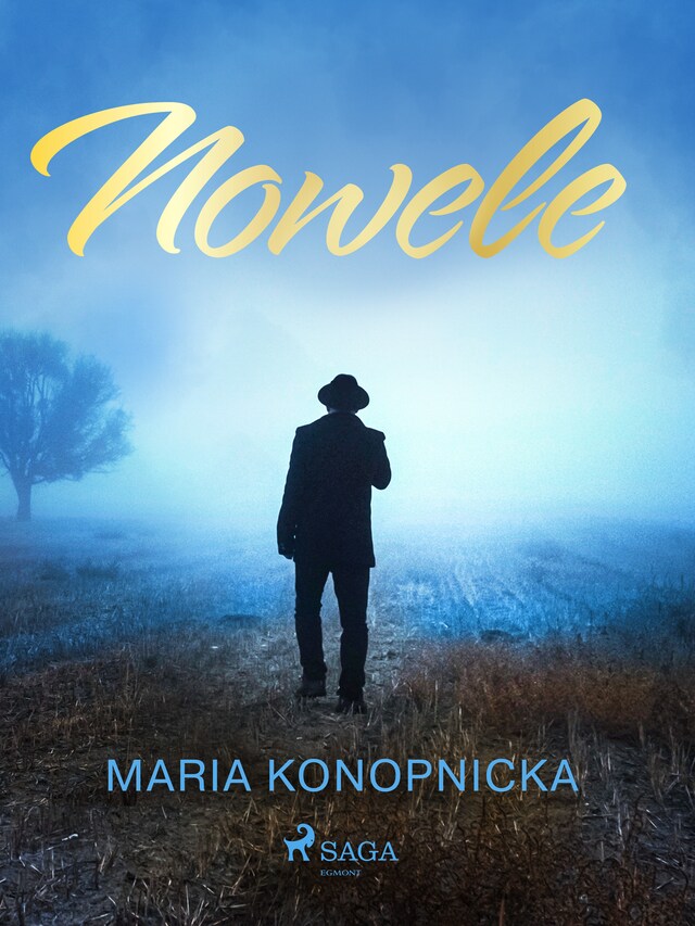 Book cover for Nowele