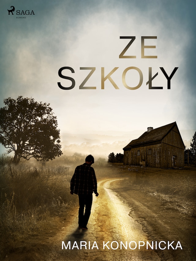 Book cover for Ze szkoły