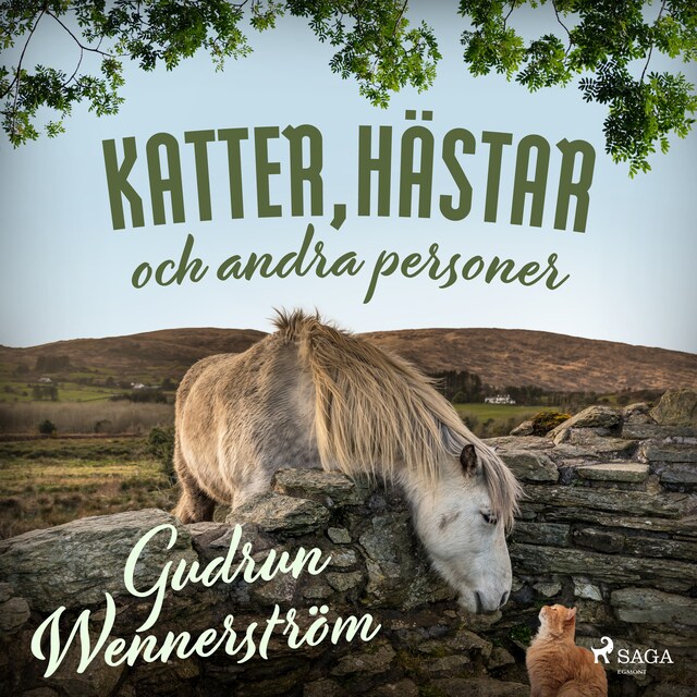 Kirjankansi teokselle Katter, hästar och andra personer