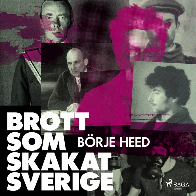 Couverture de livre pour Brott som skakat Sverige