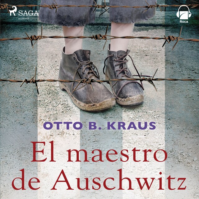 Book cover for El maestro de Auswitchz