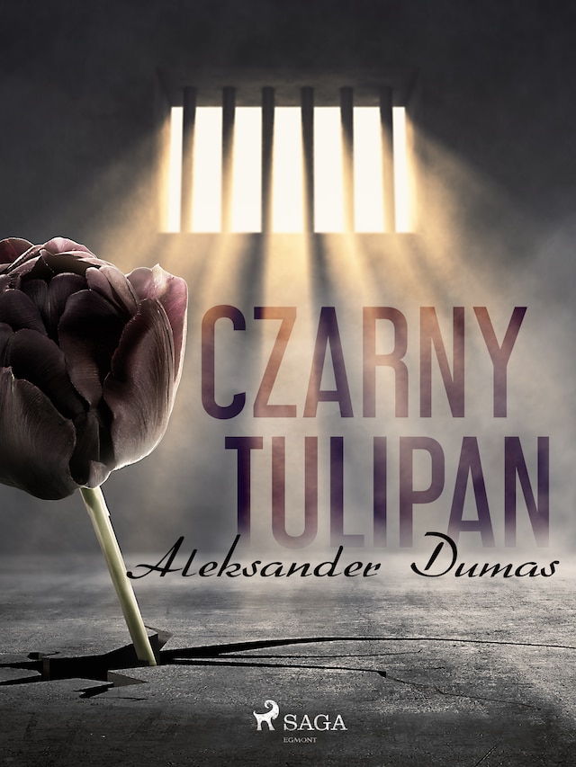 Book cover for Czarny tulipan