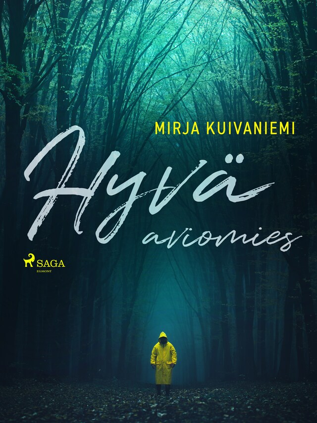 Book cover for Hyvä aviomies