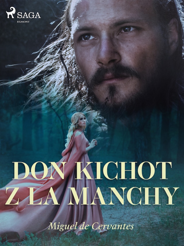 Boekomslag van Don Kichot z La Manchy