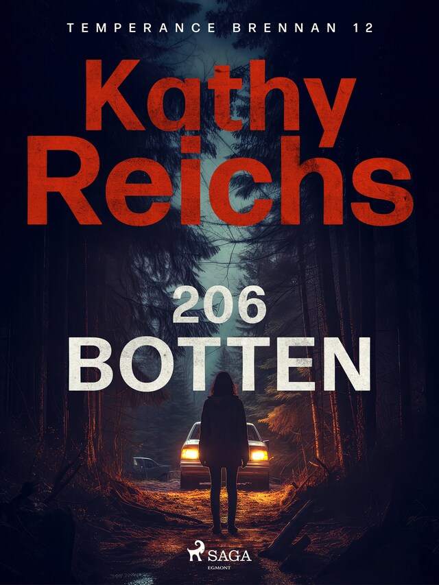 Book cover for 206 botten