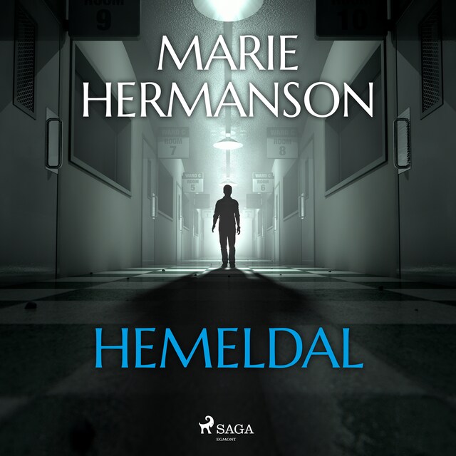 Book cover for Hemeldal