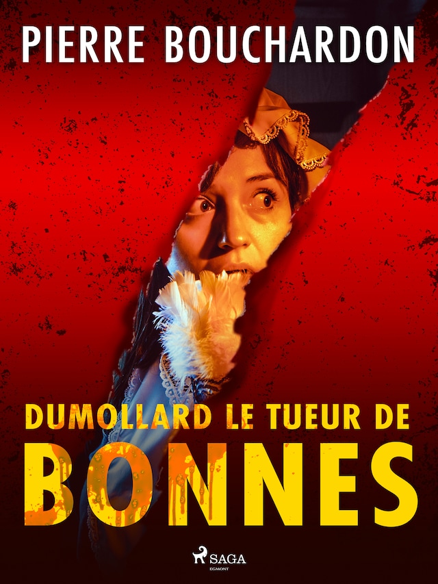 Buchcover für Dumollard le Tueur de Bonnes