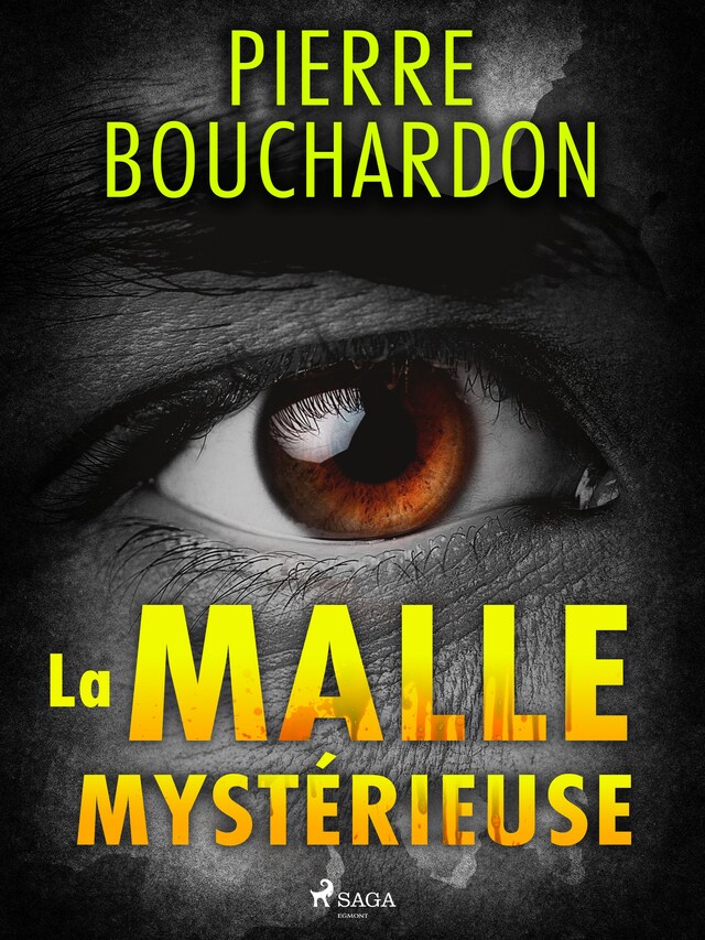 Book cover for La Malle Mystérieuse