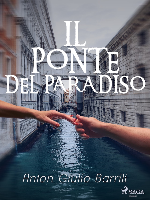 Copertina del libro per Il ponte del paradiso