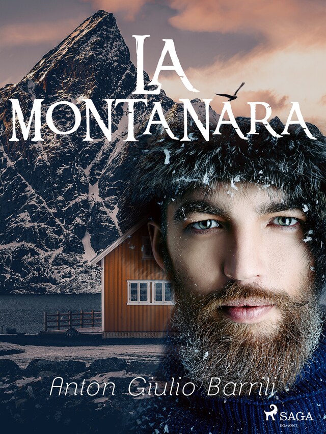 Copertina del libro per La montanara