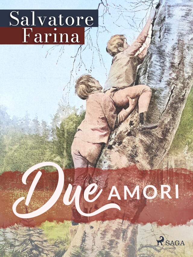 Buchcover für Due amori