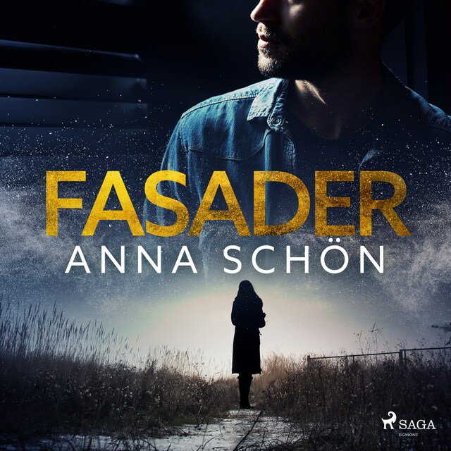 Book cover for Fasader